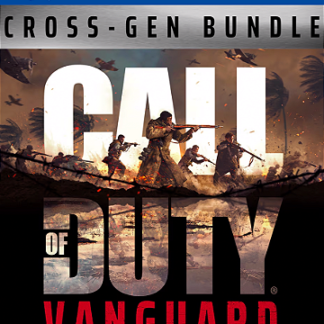 Call of Duty Vanguard PS4 Mídia Digital